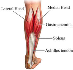 3 Effective Release Techniques For Tight Calves — The Barracks Gym